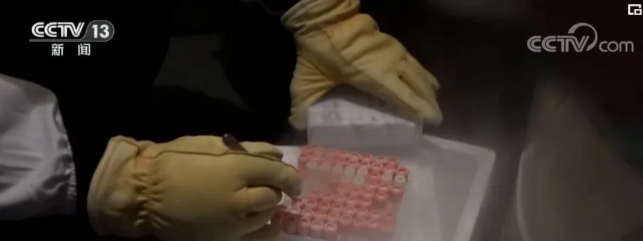 鸿运国际·(中国)集团-鸿运官网接待你