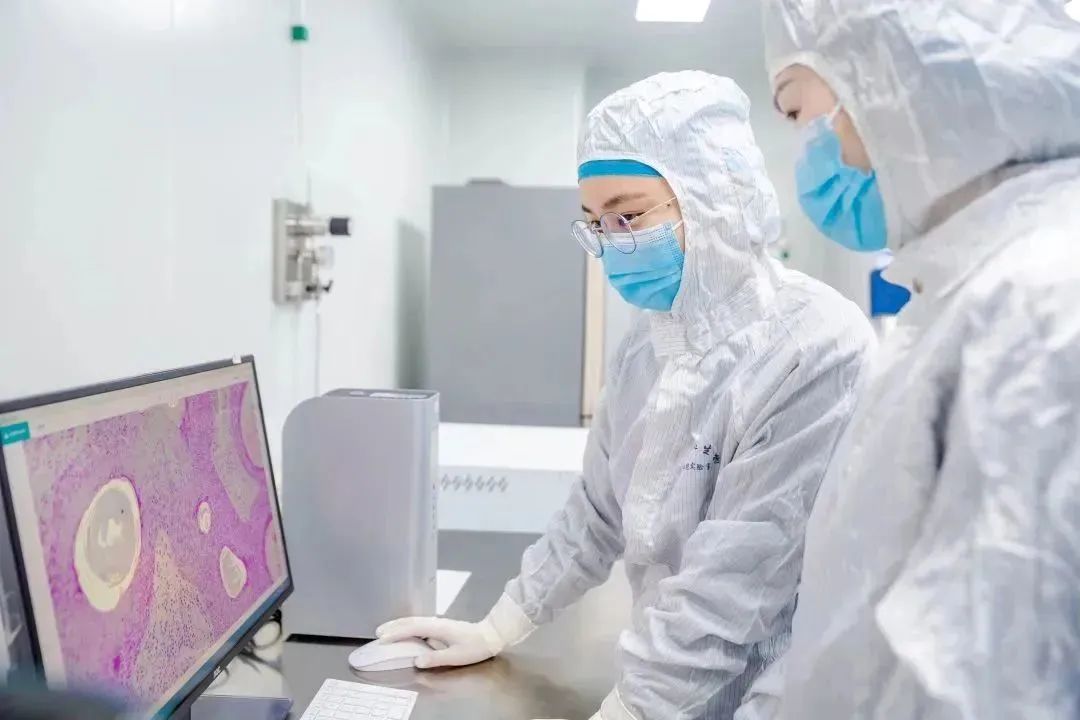 鸿运国际·(中国)集团-鸿运官网接待你