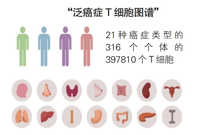 鸿运国际·(中国)集团-鸿运官网接待你