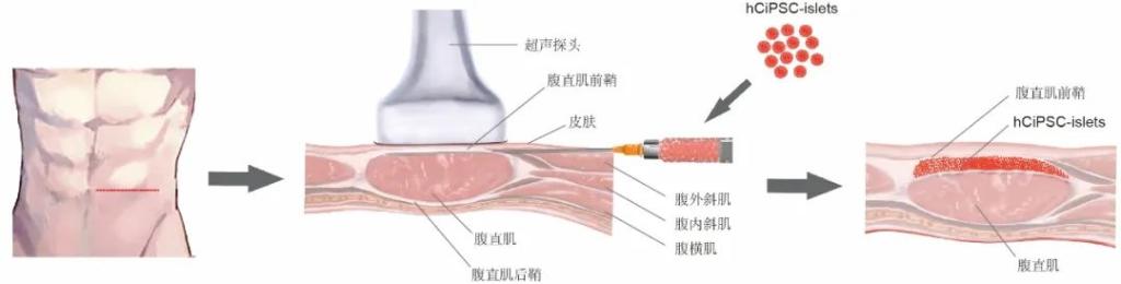 鸿运国际·(中国)集团-鸿运官网接待你