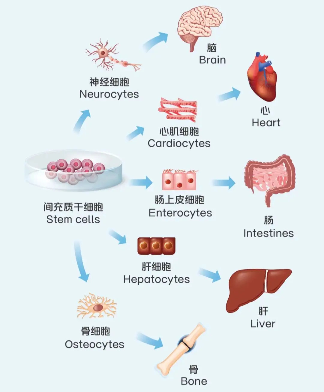 鸿运国际·(中国)集团-鸿运官网接待你